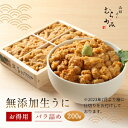 うに専門店うに むらかみ ミョウバン不使用・無添加生うにお得用バラ詰め200g【日付指定不可】【未冷凍】【2~3人前】【訳あり】【色・形不揃い・無選別】【ご自宅用】うに ウニ 北海道 うに専門店