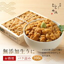 【 全品対象10%OFFクーポン＆ポイント2倍！ 】 ウニ 塩水うに 【 岩手県産 生うに 300g（150g×2） 】 5月下旬～6月上旬よりご予約順に発送開始予定 うに 塩水ウニ 送料無料 お取り寄せグルメ ムラサキウニ 雲丹 無添加 天然 国産 岩手 三陸 お中元 御中元 ギフト