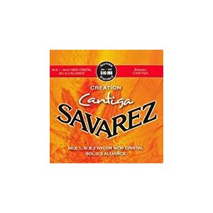 SAVAREZ@ToX NG[VJeB[K510MR