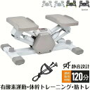 【楽天スーパーSALE】トレッドミル、ステッパー、静音、フットペダル、高齢者向けスポーツ用品、エレベーター、減量、健康、機器、筋肉運動 2 販売 販売元 YULINGM(4)