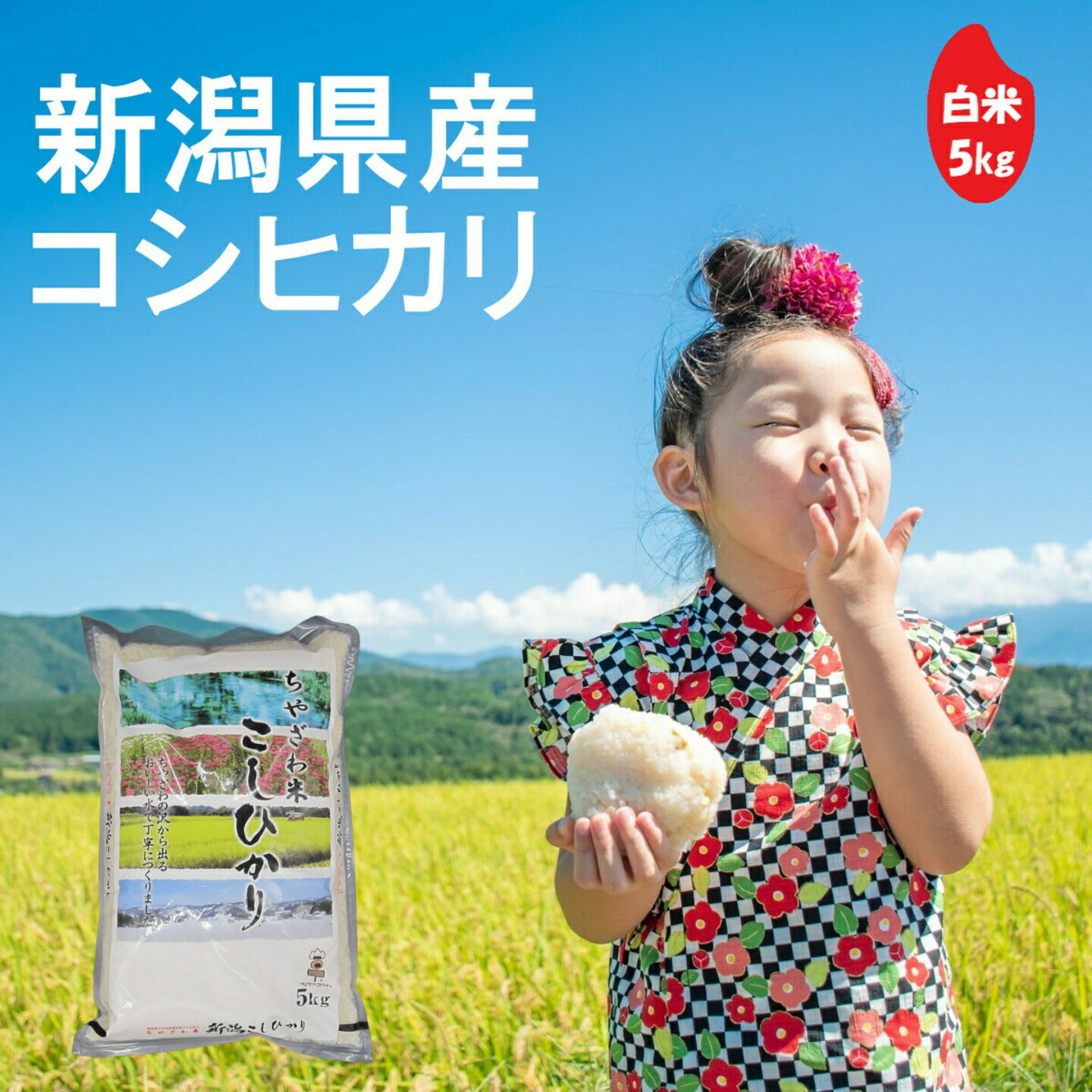 【価格見直しました！】(株)ちやざわS・C 千谷沢産コシヒカリ 白米 5kg 新潟県 コシヒカリ 令和7年産 棚田米