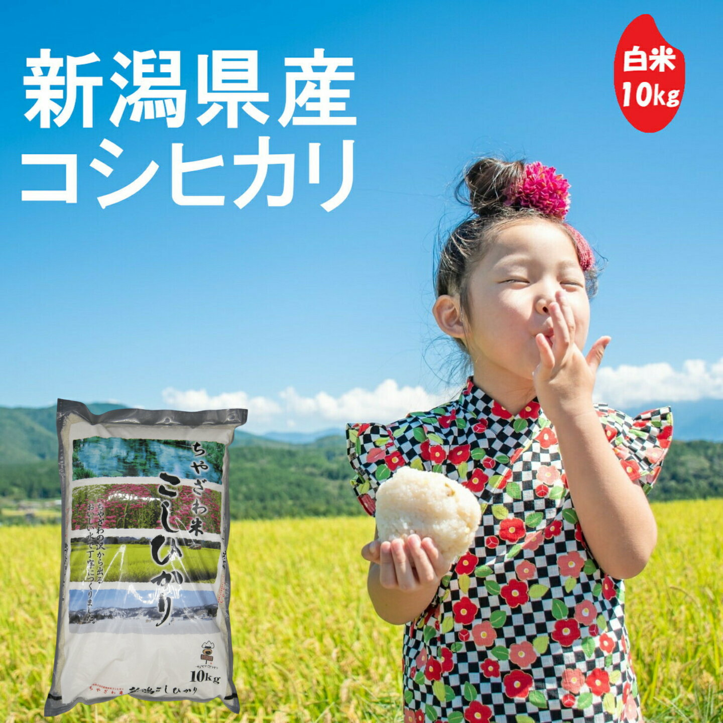 Other - 【価格見直しました！】(株)ちやざわS・C 千谷沢産コシヒカリ 白米 10kg 新潟県 コシヒカリ 令和7年産 棚田米