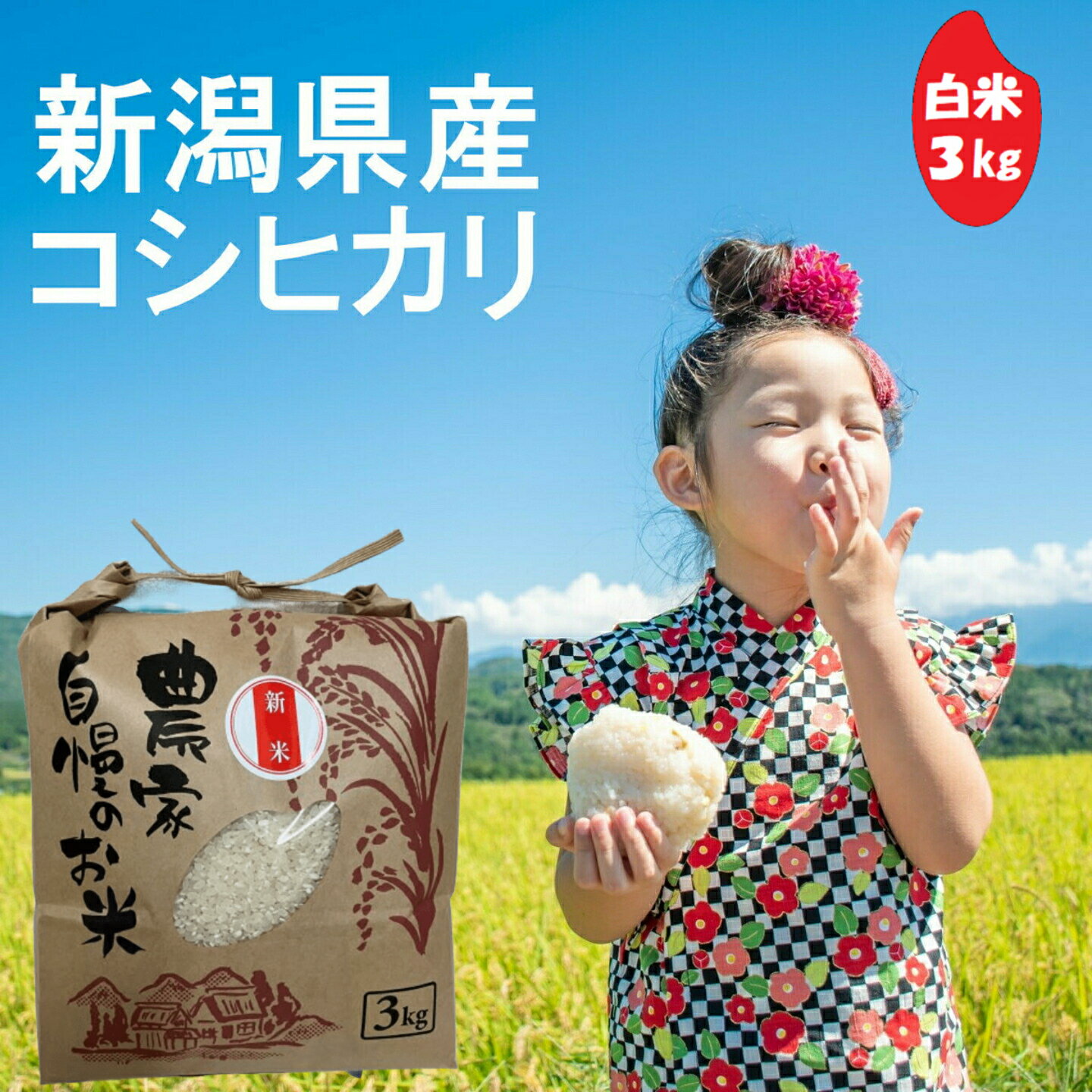 【価格見直しました！】(株)ちやざわS・C 千谷沢産コシヒカリ 白米 3kg 新潟県 コシヒカリ 令和7年産