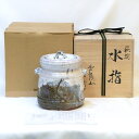 【三月の特売品】御台場窯 渋谷泥詩作 萩焼 耳付水指 白釉 白萩 茶道具【中古 美品】