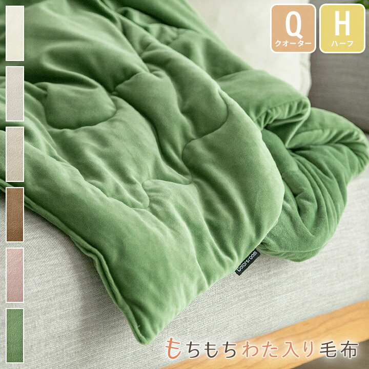 ハーフケット ひざかけ 綿入り 毛布 もちもち なめらか マイクロベロア 100×140 70×100 丸洗いOK ブランケット ひざ掛け 抗菌防臭 清潔 エアコン対策 省エネ 北欧 オールシーズン 両面