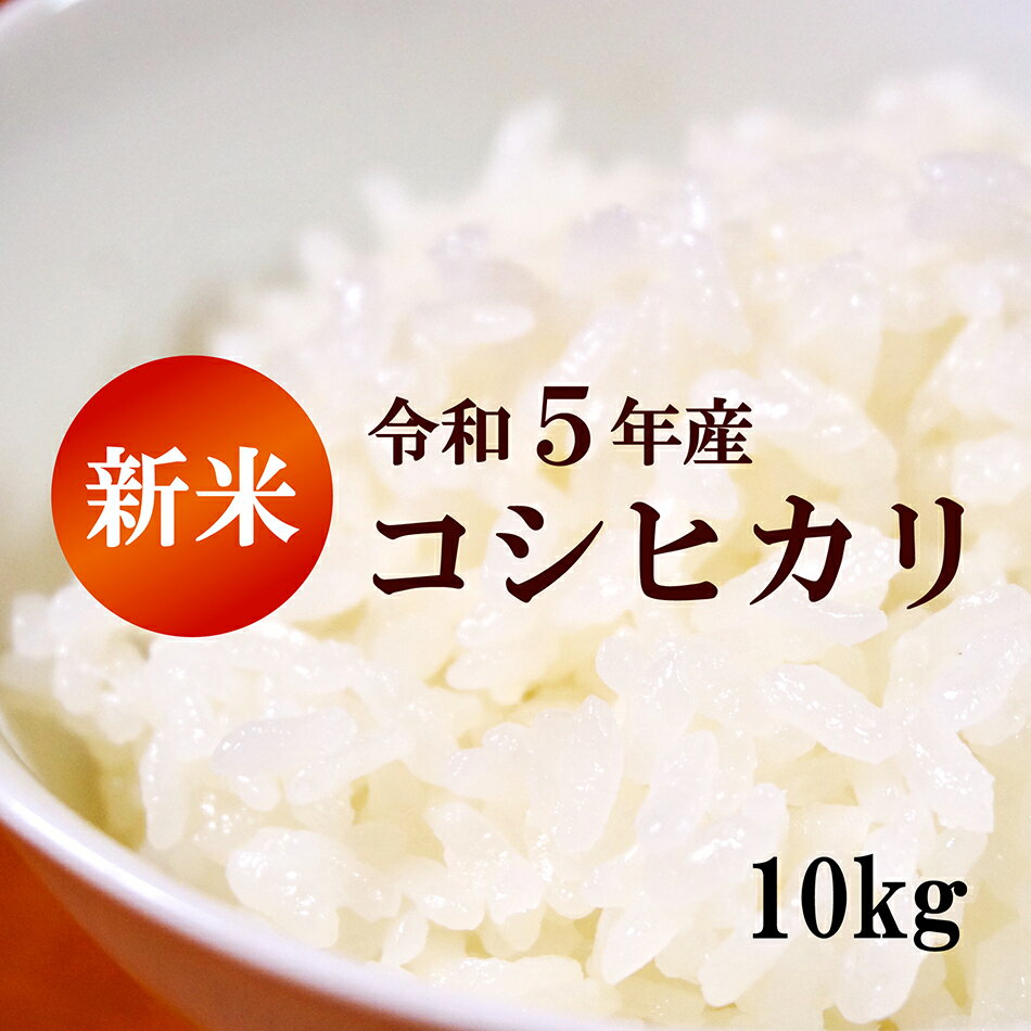 ＼令和5年産／ 送料無料 10Kg 新米こしひかり お米 10kg（5Kg×2袋） 精米 産地直送 白米 こめ おこめ コメ こしひかり コシヒカリ 白飯 ブランド米 お米 10Kg 送料無料 鹿児島産 早期米