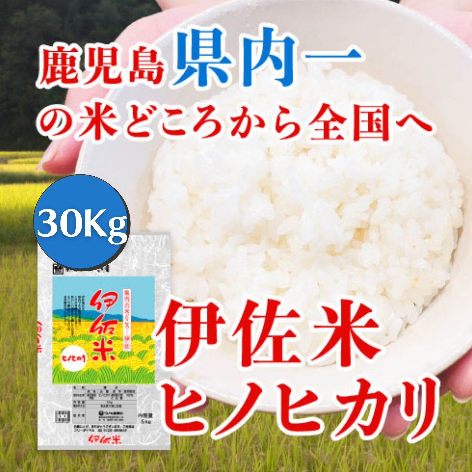 伊佐米 米 送料無料 30kg（5kg×6袋） 鹿児島県産 伊佐米 精米 産地直送 ...