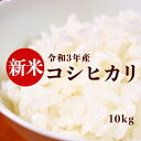 10月限定ポイント2倍！＼令和3年産 新米／ 送料無料 全国最速新米 令和3年産 10Kg こしひかり お米 10kg（5Kg×2袋） 新米 精米 産地直送 白米 こめ おこめ コメ こしひかり コシヒカリ 白飯 ブランド米 お米 10Kg 送料無料 鹿児島産