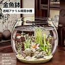タイムセール★金魚鉢 水槽 飼育水槽 プラスチック製 大容量テラリウム 観葉植物用インテリア容器 テーブル置きアクアリウム 水培に最適な多目的水槽
