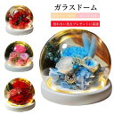 プリザーブドフラワー 母の日 フラワーギフト LEDライト付き ガラスドーム ローズ 枯れない花 フラワーアレンジ カーネーション