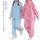 【先着60名:200円Offクーポン】地雷系 ジャージ 水色 上下セット レディース 韓国風 サブカル系 長袖 コート トレーナー ロングパンツ 2点 セットアップ サブカル地雷 服 ストリート ゆったり スポーツウェア 運動着 部屋着 学園祭 ダンス 衣装 原宿系 Y2K