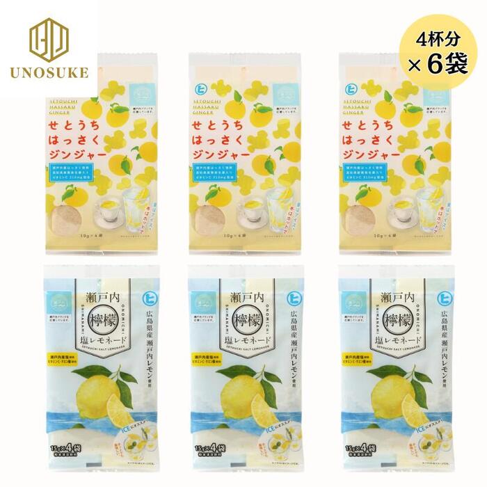 【在庫処分】瀬戸内塩レモネード せとうちはっさくジンジャー 6袋セット 粉末 ジュース 飲料 粉末清涼..
