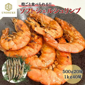 ソフトシェルシュリンプ 500g20尾 1kg40尾 海老 エビ えび 殻付き BBQ バーベキュー バナメイエビ 業務用 贈答用 ギフト 自宅用 お取り寄せ グルメ 冷凍 海鮮 お中元 お歳暮 ひな祭り お祝い 市場 カルシウム