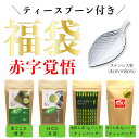 新茶予約 福袋 2024 4点セット ステンレス製ティースプーン付き 送料無料 八女茶 煎茶 ティーバッグ ほうじ茶 飲み比べ お試し 緑茶 日本茶 詰め合せ 茶葉セット メール便 茶葉 国産 ポイント消化 鵜ノ池製茶