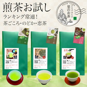 お茶 お試し 送料無料 500円 3種類の八女茶 1商品6g入り 一煎パックで飲み比べに便利 メール便 茶ごころ のどか 恋茶緑茶 日本茶 茶葉 深蒸し茶 煎茶 ポスト投函 ポイント消化 通販 カテキン 冷茶 深むし 国産 九州産 鵜ノ池製茶