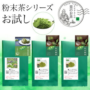 お茶 粉末茶 お試し 送料無料 500円 2種類の粉末茶 抹茶 10g入り 粉末茶 5g入り×2個 少量パックでお試しに便利 メール便 かおり ふわり 緑茶 日本茶 ポスト投函 ポイント消化 通販 カテキン 冷茶 深むし 国産 九州産 鵜ノ池製茶