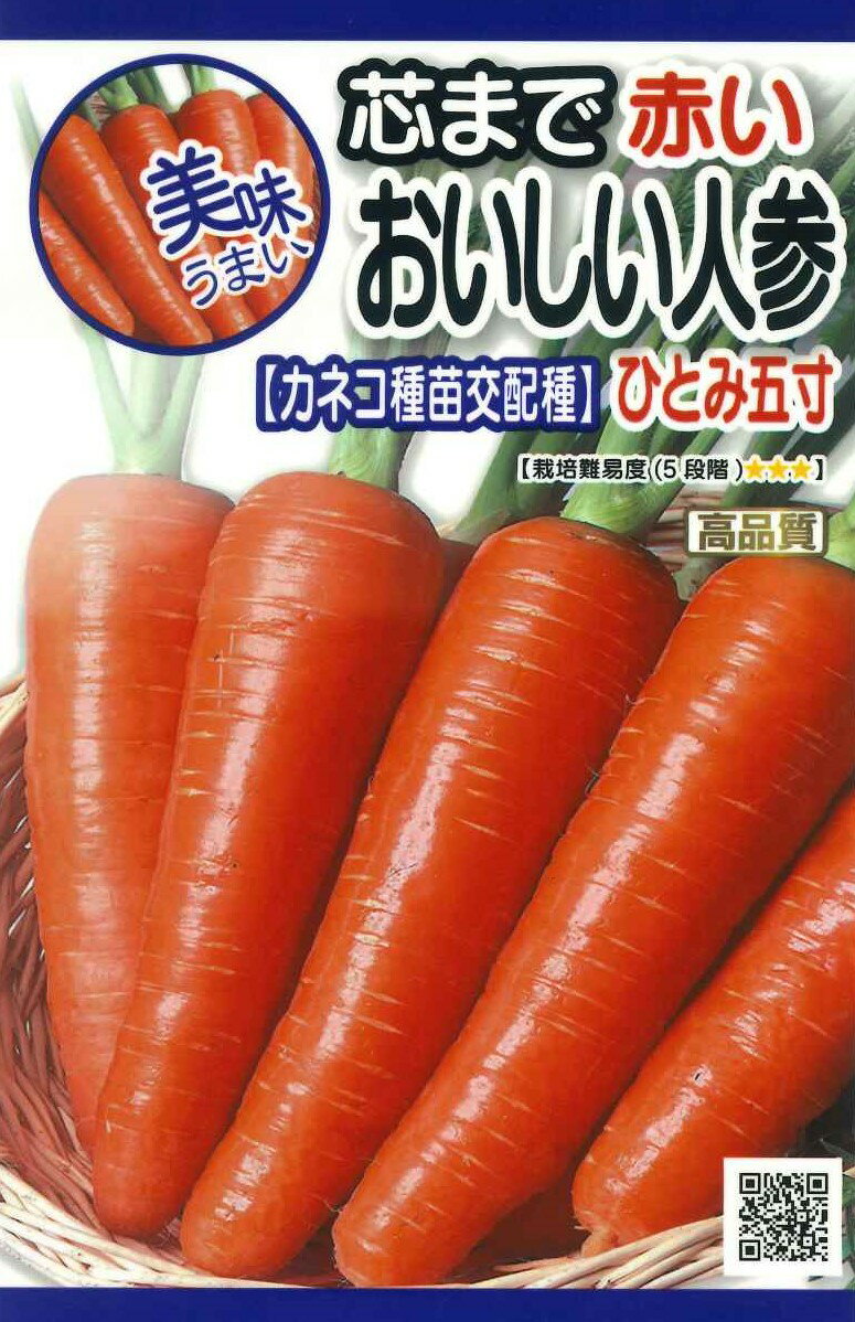 種　ニンジン　種子　秋まき　野菜　タネ　カネコ種苗（株）ひとみ五寸人参　根色、根形よく、肉質に優れた冬どりにんじん　家庭菜園　宇都宮農園　たね