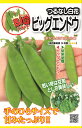 種　えんどう　種子　野菜　春・秋まき　タネ　（株）サカタのタネ　エンドウ　ヘレンド　甘みたっぷり　つるなし　キヌサヤエンドウ　家庭菜園　宇都宮農園　たね