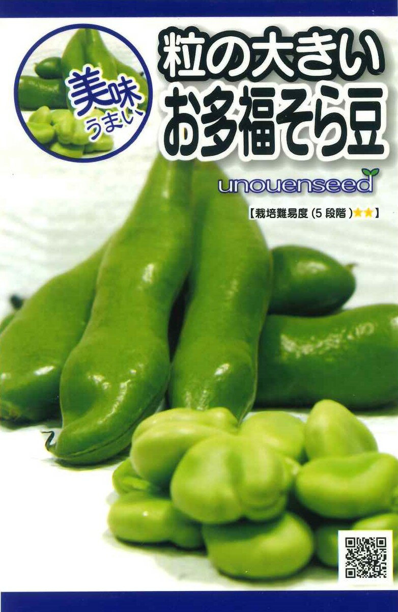 種　そらまめ　種子　秋まき　野菜　タネ　ソラマメ　ボリュームのある大粒な豆　ゆでて　炒めて　煮て　揚げて　おいしい　おつまみに好適　上品な甘み　固定種　家庭菜園　宇都宮農園　たね