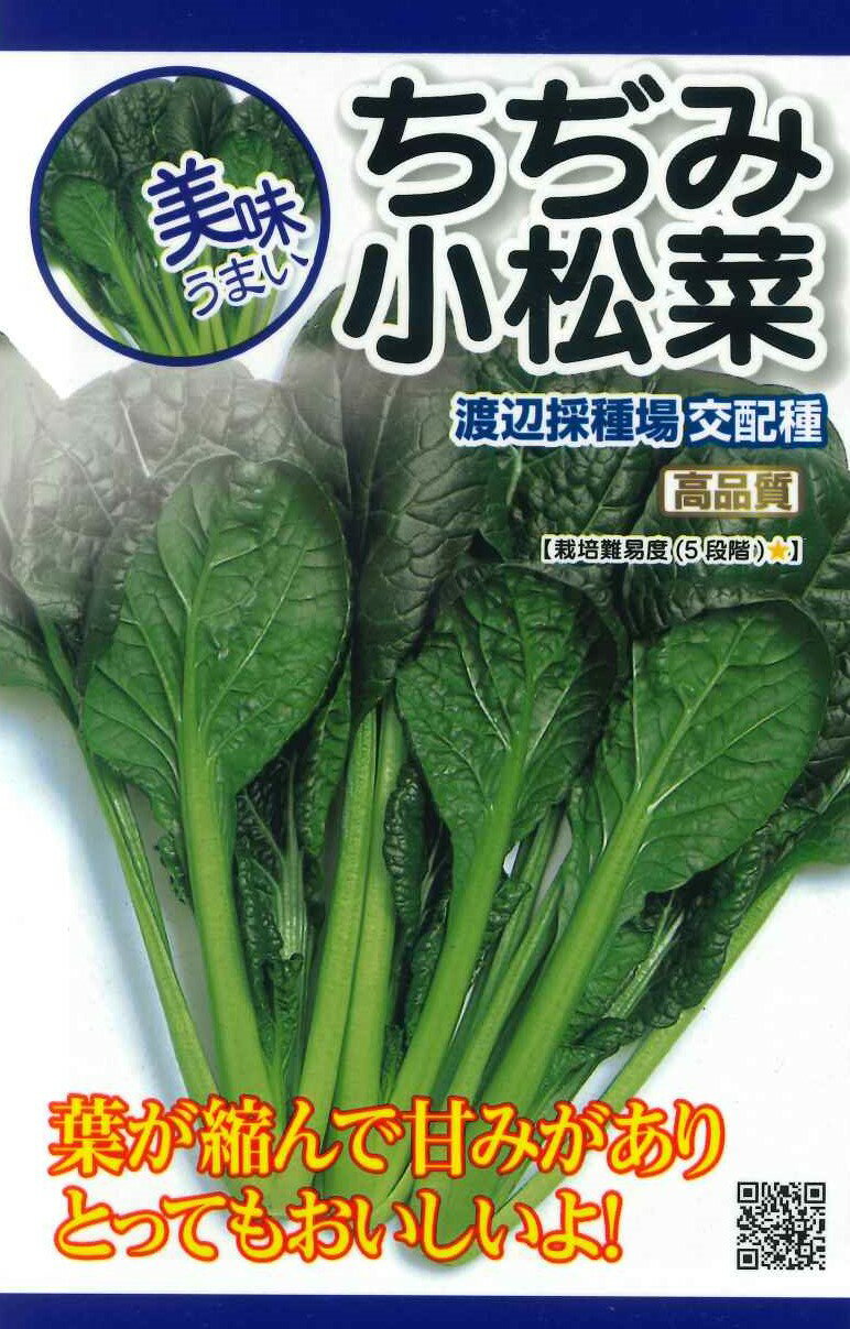 種　こまつな　種子　春・秋まき　野菜　タネ（株）渡辺採種場　ちぢみこまつな　寒さにあたると葉がちぢみ　甘さが増しておいしくなります　とってもおいしいよ！　家庭菜園　宇都宮農園　たね