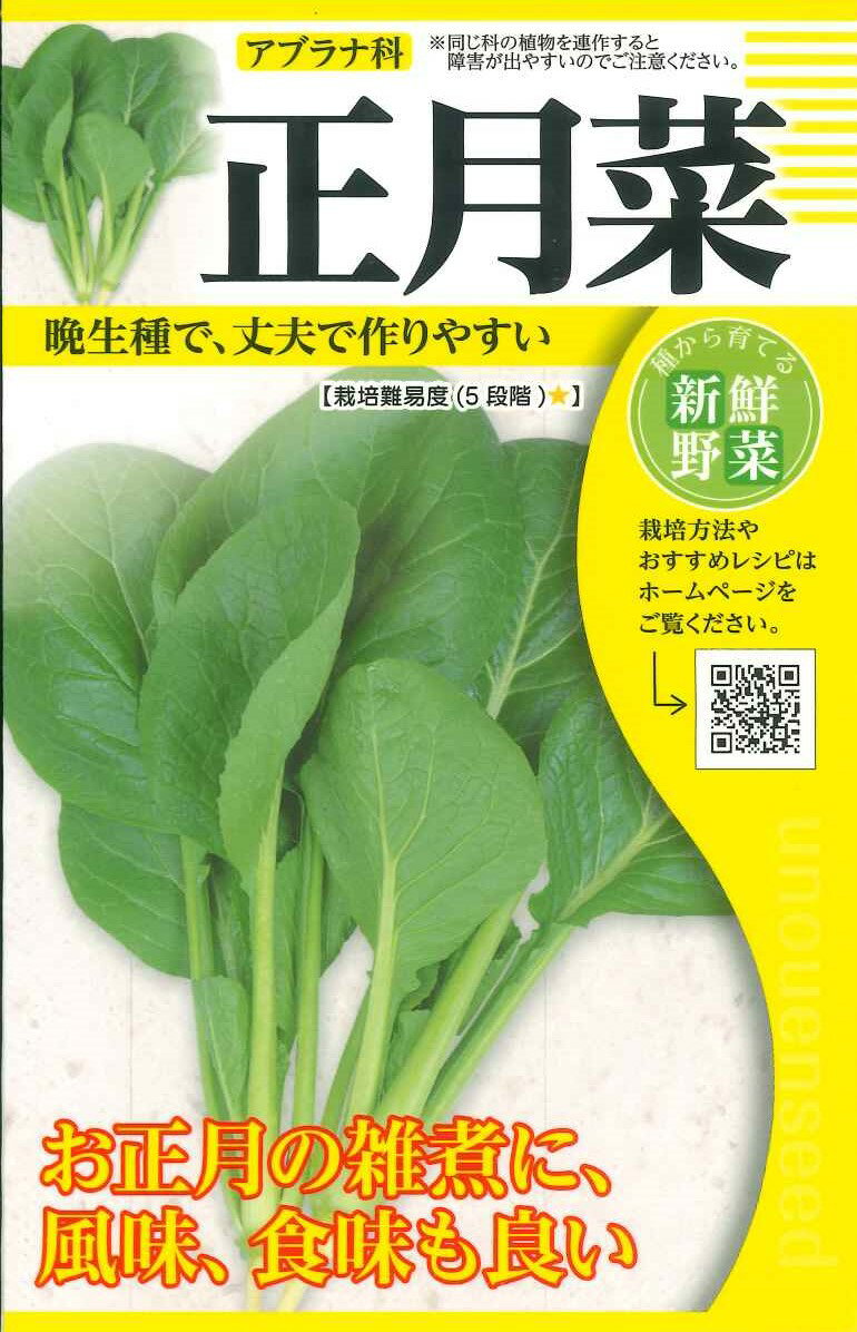 【正月菜】種　しょうがつな　種子　秋まき　野菜　タネ　（株）タカヤマシード　コマツナの仲間　作りやすい　固定種　在来種　地方野菜　広く料理に使えます