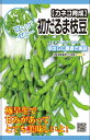 【初だるま枝豆】種 えだまめ 種子 野菜 春まき タネ カネコ種苗 株 えだまめ 白毛 濃緑 甘みが強い ビールのおともに最適 エダマメ 家庭菜園 宇都宮農園 たね