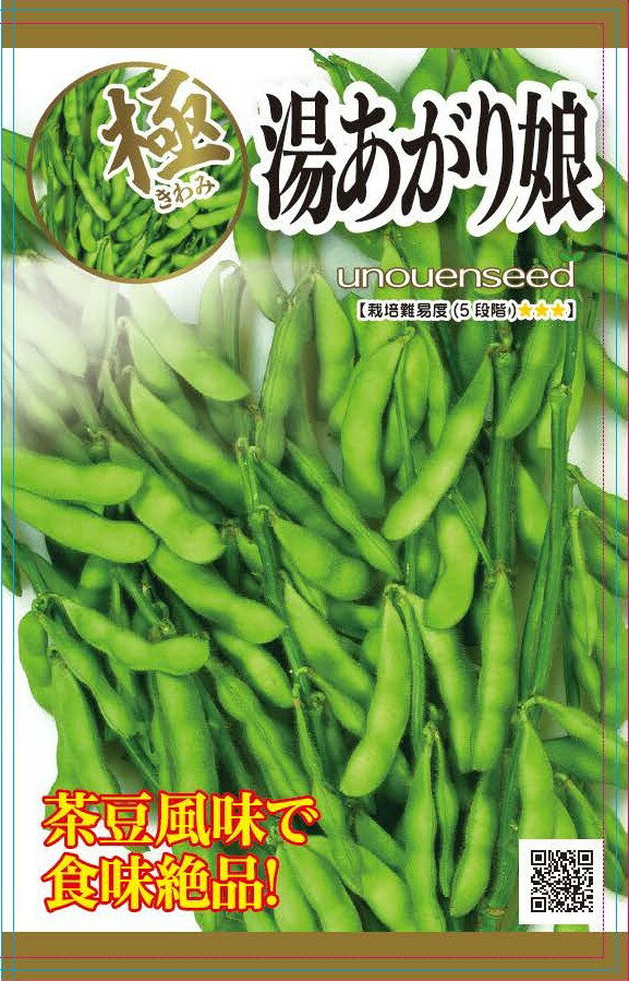 【湯あがり娘枝豆】種 えだまめ 種子 野菜 春まき タネ カネコ種苗 株 茶豆風味 食味絶品 ビールのお供にこの一品 エダマメ 家庭菜園 宇都宮農園 たね