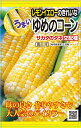 種　とうもろこし　種子　野菜　春まき　タネ　（株）サカタのタネ　　レモンイエローで光沢があり　甘みの強さと粒皮が特長のトウモロコシ　たね