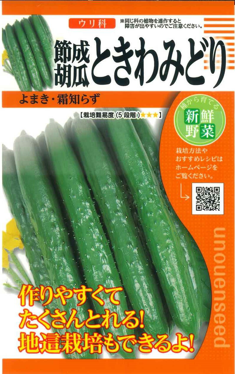 種　きゅうり　種子　野菜　春・秋まき　タネ　（株）タカヤマシード　濃緑色のキュウリ　節成、地這い栽培可能　よまき　霜しらず　家庭菜園　宇都宮農園　たね