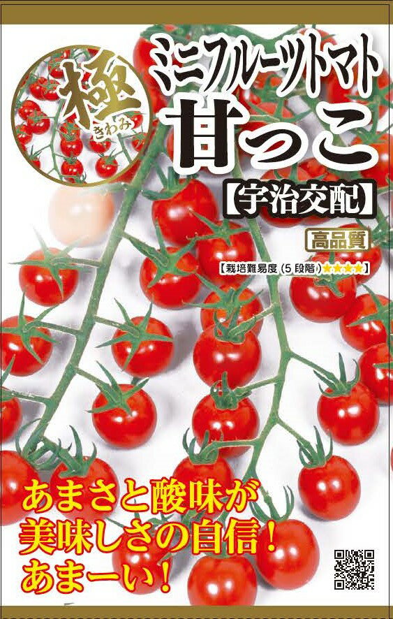 【商品説明】 宇治交配甘っこトマトの種子は、家庭菜園愛好家にとって理想的な選択です。このミニトマトは、高糖度で甘さと酸味のバランスが絶妙な味わいを提供します。春まきに適していますので、これからの季節にぴったりです。プランター栽培にも適しているため、庭がない方でもバルコニーや窓辺で手軽に栽培を楽しむことができます。この種子から育つトマトは、その甘さとコクで食卓を豊かに彩ります。宇都宮農園が提供するこの丸種株式会社の品種は、初心者から上級者まで幅広いガーデナーに愛されています。新鮮なサラダや料理のアクセントとしても最適です。自分で育てたトマトの味は格別で、収穫の喜びもひとしおです。さあ、あなたも宇治交配甘っこトマトで、甘くて美味しい家庭菜園の世界に足を踏み入れてみませんか？ ●高糖度で酸味とバランスに優れた食味抜群のミニトマトです。 ●果実は20g前後となり、テリのある鮮赤色で果形はやや縦長の美しい果実です。また、ガクはしおれにくく新鮮な状態が長く続き、店持ちにも優れてます。 ●萎ちょう病、根腐萎ちょう病、半身萎ちょう病、葉かび病、ToMVなどに複合耐病性でネマトーダにも比較的強い品種です。 【極シリーズは、国内採種メーカの中でも、特に優れてる品種をシリーズ化しました】 ※種子は、土壌・温度・水分などが不適切な条件下では発芽しない場合がございます。まき時期・温度（画像2）等に、ご注意し栽培してください。