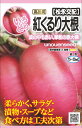 種　だいこん　種子　野菜　春・秋まき　タネ　松永種苗（株）果肉がみずみずしく柔らかく　皮だけでなく中の果肉も鮮やかな紅色のダイコンです。　家庭菜園　宇都宮農園　たね