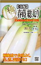 種　だいこん　種子　野菜　春まき　タネ　ス入り遅く　食味良く　極晩抽性　大根　肌がなめらかで　光沢あり　太めの総太り形　ダイコン　家庭菜園　宇都宮農園　たね