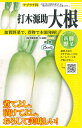 (内容量6ml）秋まき　種　野菜　家庭菜園　タネ　（株）タカヤマシード　ダイコン　甘みが強く　繊維質少ない　おでん　煮物に向く