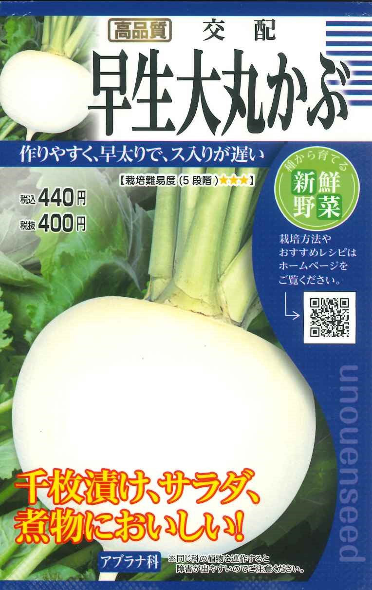 種　かぶ　種子　秋まき　野菜　タネ　（株）タカヤマシード　カブ　大カブ　作りやすく　早太り　ス入りが遅い　肉質やわらかく味の良い大かぶ　家庭菜園　宇都宮農園　たね