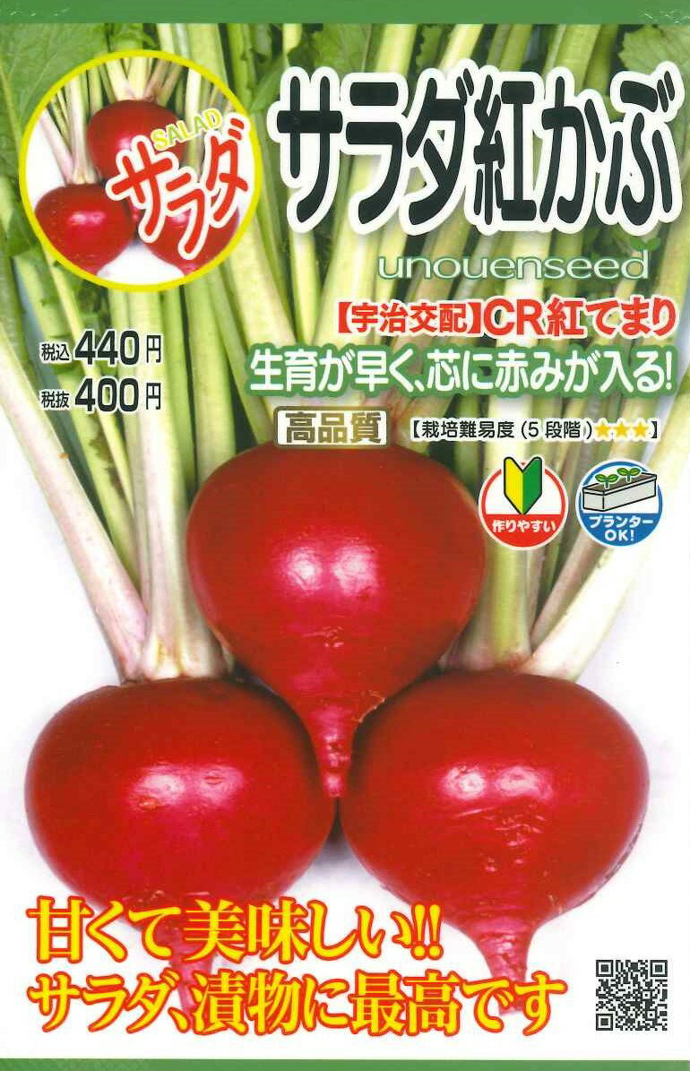 種　かぶ　種子　野菜　春・秋まき　タネ　丸種（株）カブ　中かぶ　芯に赤みが入る　甘みがあり美味しい　サラダ　浅漬け　家庭菜園　プランター栽培　宇都宮農園　たね