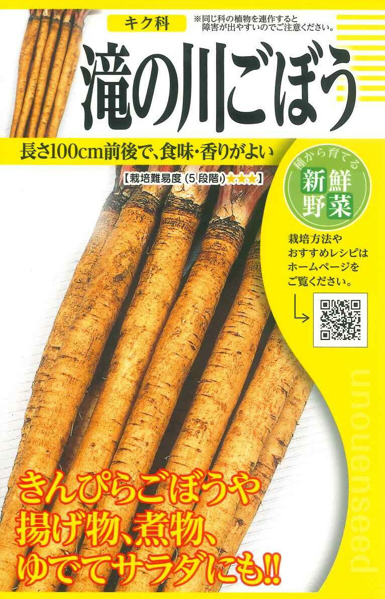 種　ごぼう　野菜　春・秋まき　タネ　（株）タカヤマシード　ごぼう　白肌　肉質やわらかく　食物繊維が多い　白肌　美しい　多収品種　サラダ　ゴボウ　家庭菜園　宇都宮農園　たね