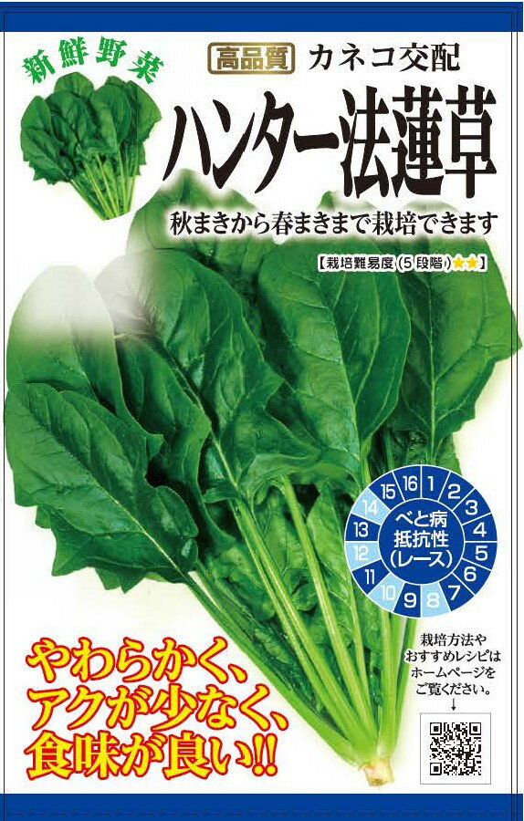 種　ほうれんそう　種子　春・秋まき　野菜　タネ　カネコ種苗（株）　ハンターホウレンソウ　べと病抵抗性　葉肉やわらかく　アクが少なく　食味が良い　家庭菜園　宇都宮農園　たね