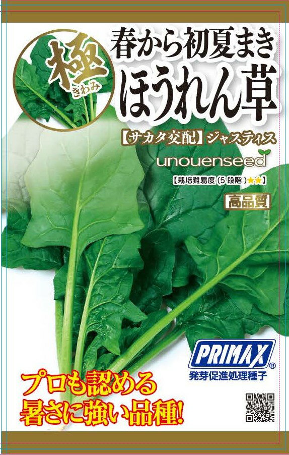 種　ほうれんそう　種子　春まき　野菜　タネ（株）サカタのタネ　ジャスティス　ホウレンソウ　暑さ、病気に強い　トウ立が遅い　育てやすい　家庭菜園　宇都宮農園　たね