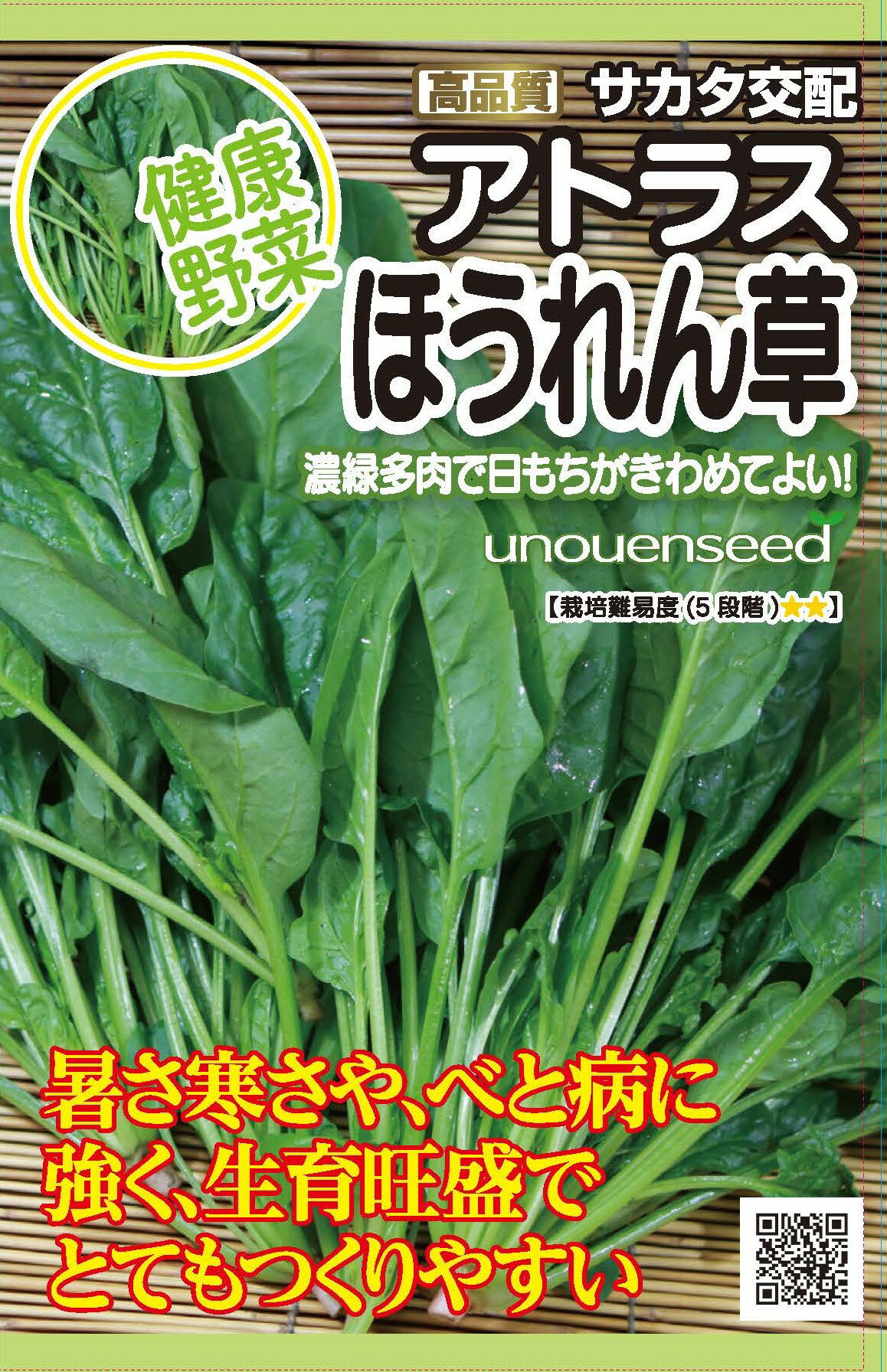 種　ほうれんそう　種子　秋まき　野菜　タネ（株）サカタのタネ　ホウレンソウ　暑さ寒さに強く　べと病にも強い　生育旺盛でとてもつくりやすい　家庭菜園　宇都宮農園　たね