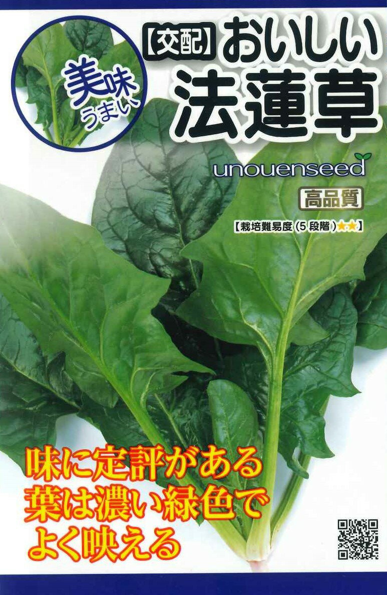 種　ほうれんそう　種子　春まき　野菜　タネ（株）サカタのタネ　ホウレンソウ　病気に強い　生育力強い　うまみが強い　栽培しやすい　家庭菜園　宇都宮農園　たね