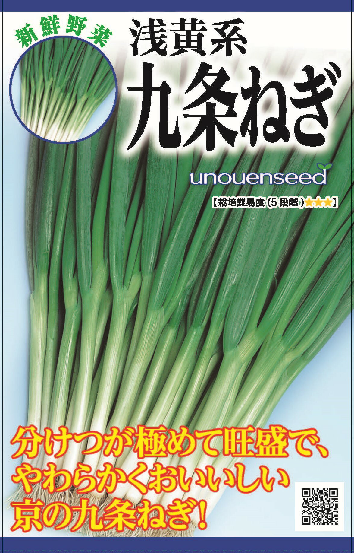 【浅黄系九条ねぎ】種　ネギ　種子　春・秋まき　野菜　タネ　タカヤマシード　小ネギ　葉ネギ　分けつ力旺盛　やわらかくて美味しい　家庭菜園　宇都宮農園　たね