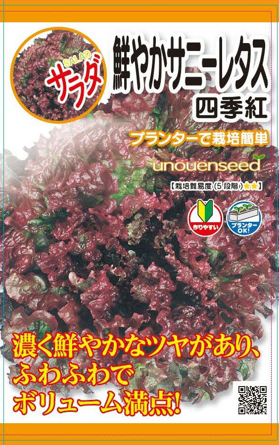 種　サニーレタス　種子　春・秋まき　野菜　タネ　（株）サカタのタネ　やわらか　葉肉が厚い　苦味が少なく　甘みが強い　リーフレタス　家庭菜園　宇都宮農園　たね