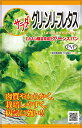 種　リーフレタス　種子　春・秋まき　野菜　タネ　カネコ種苗（株）　グリーンスパン　レタス　葉肉は厚く　苦味なく　やわらかい　作りやすい　サラダ　家庭菜園　宇都宮農園　たね