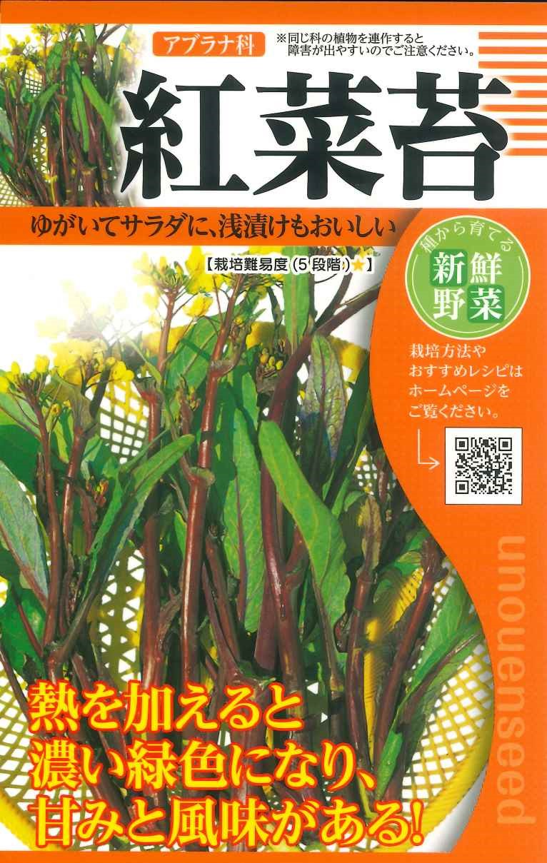 種　コウサイタイ　種子　秋まき　野菜　タネ　ハナナと同じ仲間　花蕾と茎を食します　甘み　特有の風味　寒さに当たると甘みが増します　熱を加えると濃い緑色になります　中国野菜　家庭菜園　宇都宮農園　たね