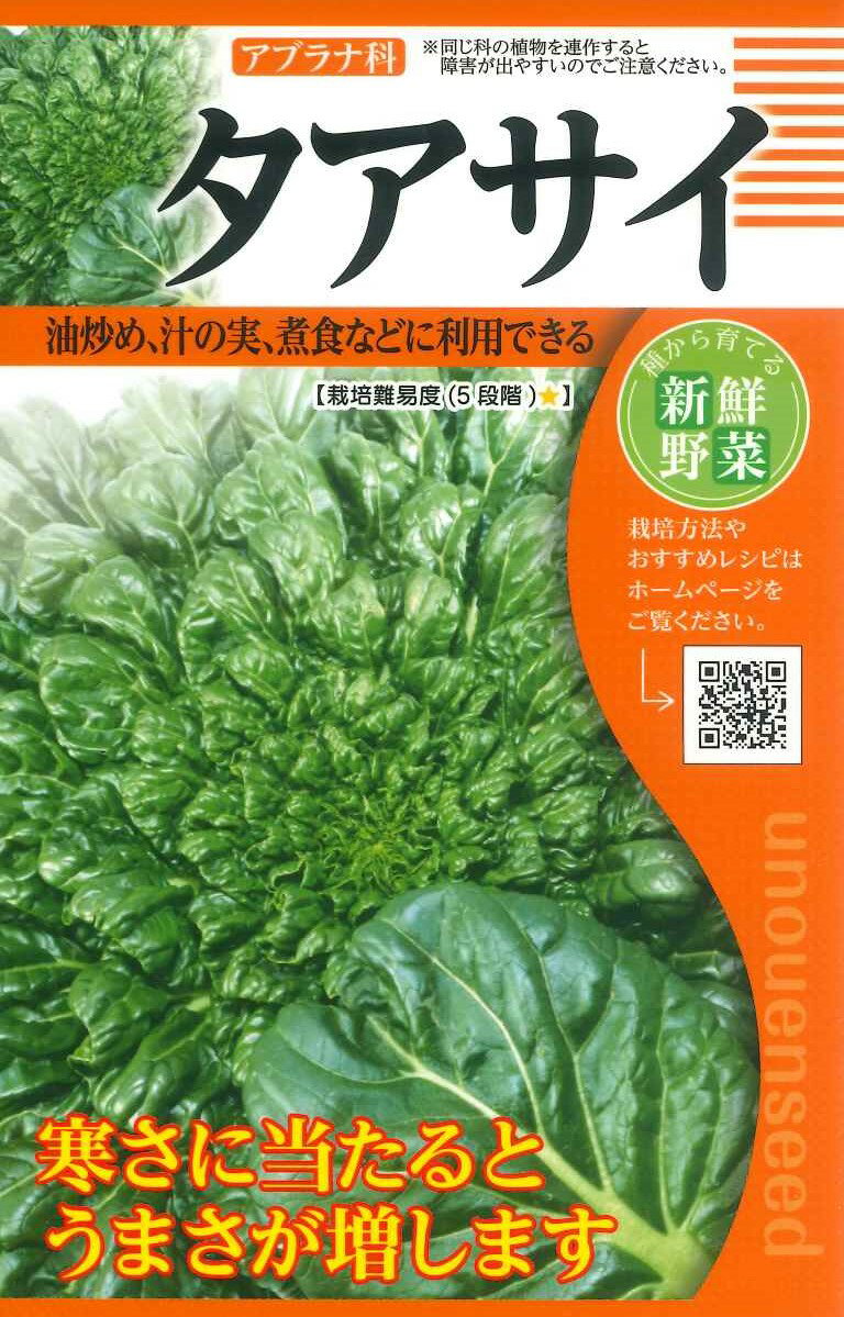 種　タアサイ　種子　春・秋まき　野菜　タネ　寒さに強く　カリウム・カロテン・ビタミンCを多く含みます　寒さにあたると甘みが増します　中国野菜　家庭菜園　宇都宮農園　たね