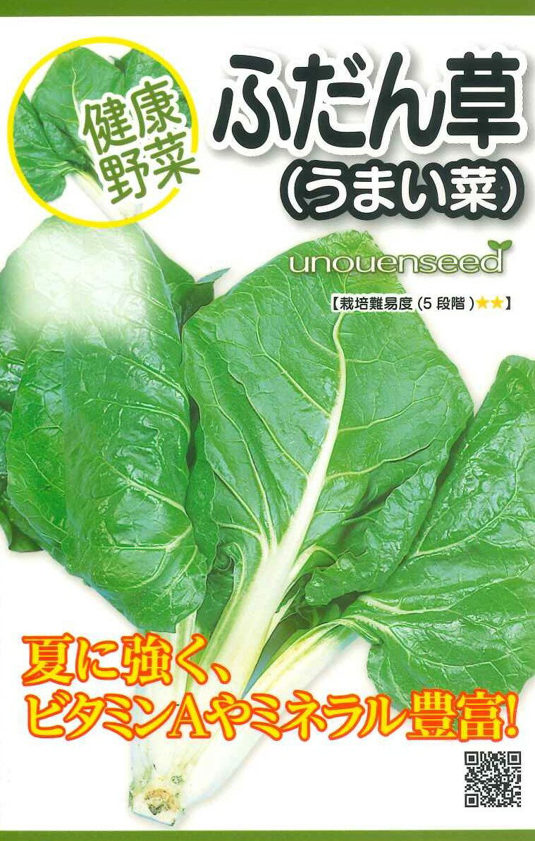 【ふだん草 うまい菜 】種 フダンソウ 夏菜 種子 春・秋まき 野菜 タネ 暑さに強く カロテンやミネラル豊富 作りやすい ホウレンソウの仲間 独特の風味 家庭菜園 宇都宮農園 たね