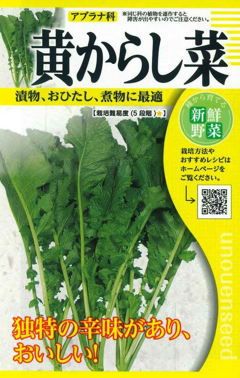 種　カラシナ　種子　春・秋まき　野菜　タネ　とう菜　トウ立ちした茎と葉、蕾を食べるカラシナ　小さいものはサラダに　大きめの株は漬物やおひたしに　固定種　家庭菜園　宇都宮農園　たね