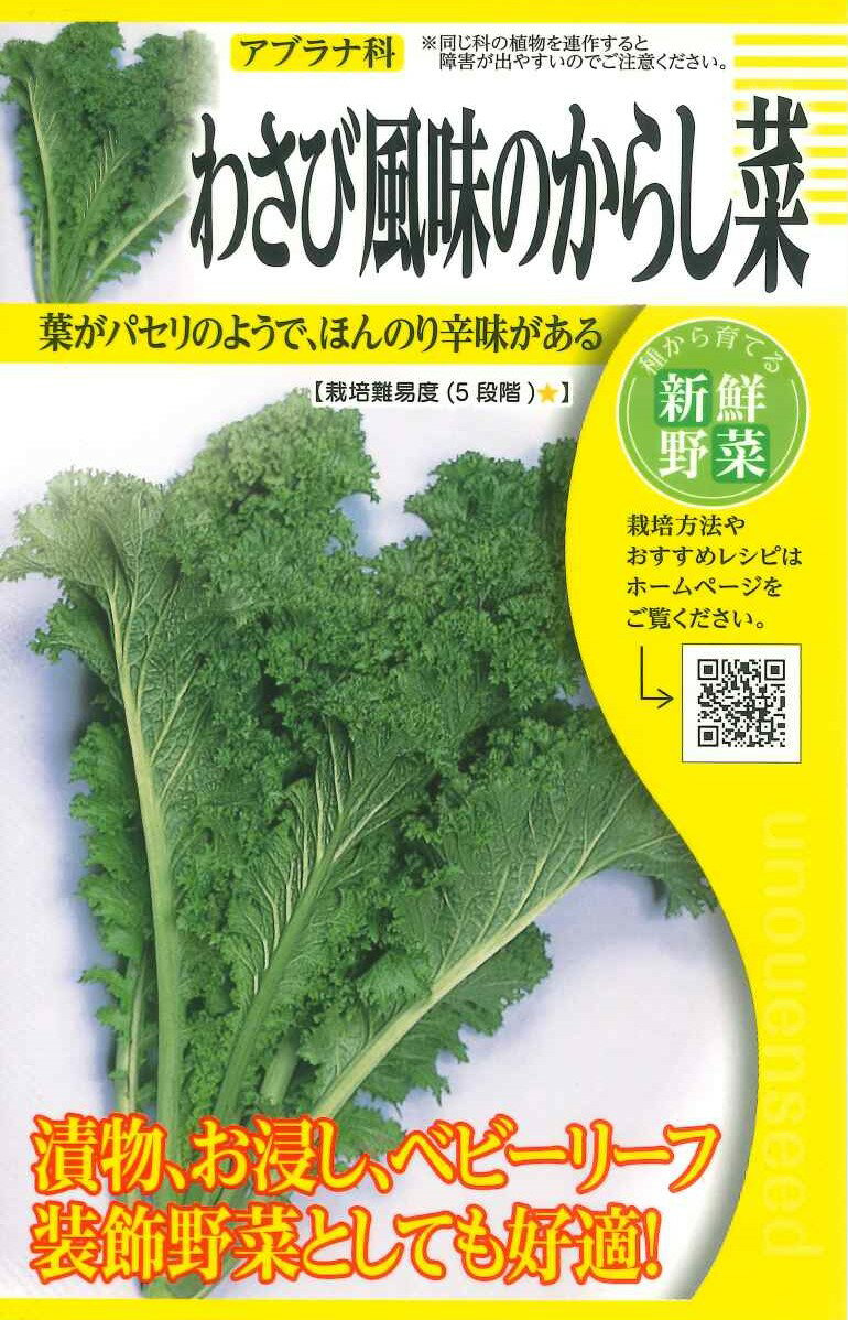 【わさび風味のからし菜】種 からしな 種子 春・秋まき 野菜 タネ 株 渡辺採種場 ツケナ ミズナ風のカラシナ サッパリとした辛さ サラダ等の辛味素材 ベビーリーフ サラダ素材 漬け物 おひたし…