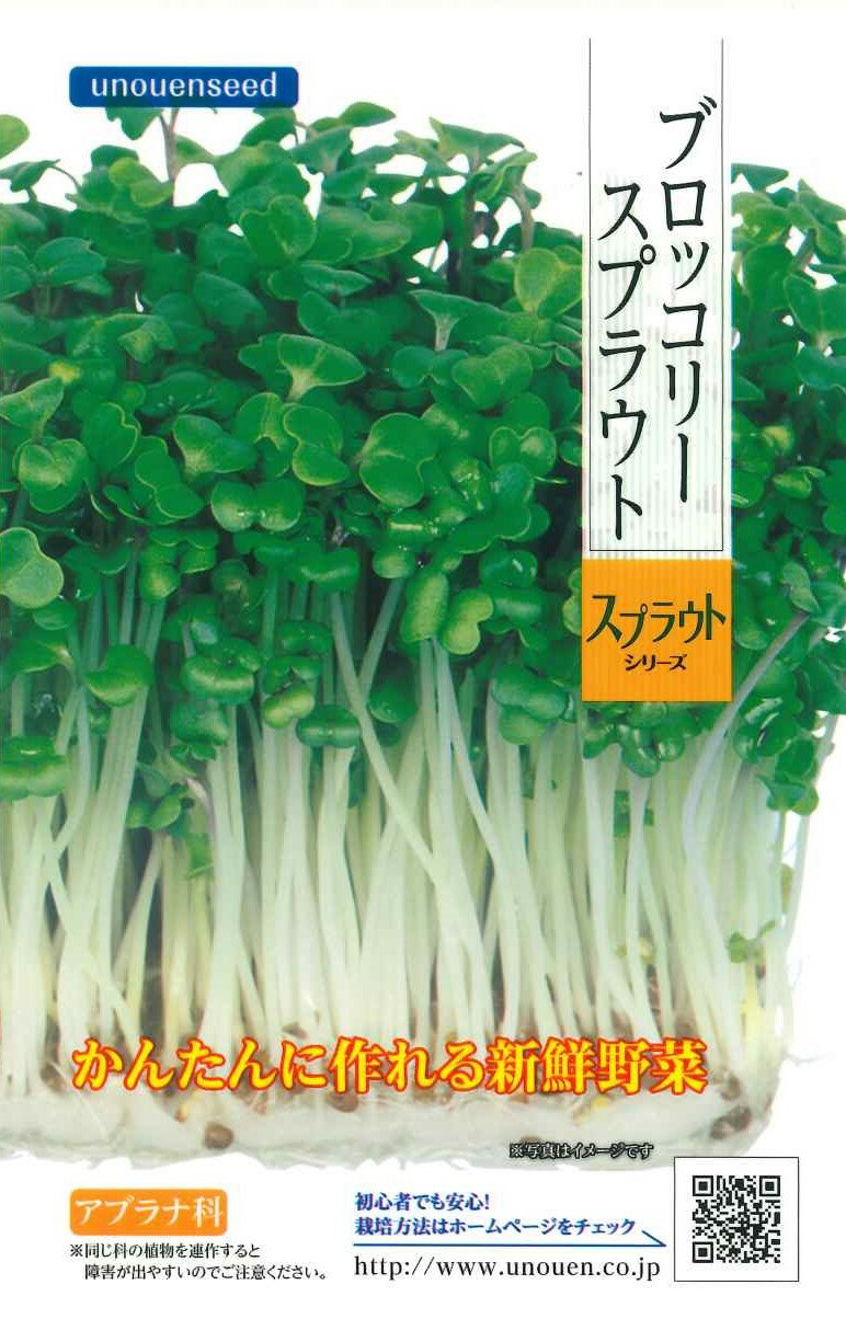 種　スプラウト　ブロッコリー　種子　年中栽培できる　野菜　タネ　ほのかな甘み　スルフォラファンが豊富　栄養素が豊富　サラダ　生食　ツマ　キッチンガーデン　家庭菜園　宇都宮農園　たね