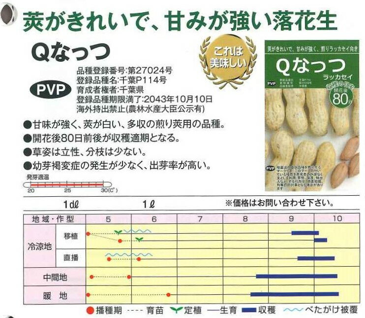 種　落花生　野菜　種子　甘みが強く、煎り落花生に向く千葉県育成の新品種　渡辺農事　美味しいよ